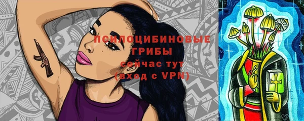 дмт Балахна