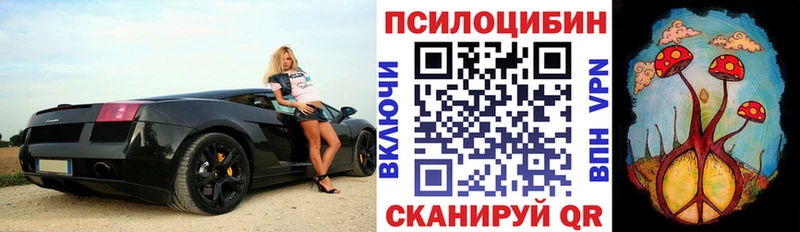 Псилоцибиновые грибы мухоморы  Миньяр 