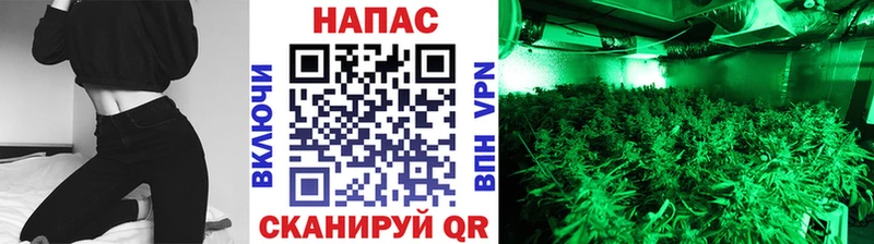 где можно купить   Миньяр  Марихуана тримм 